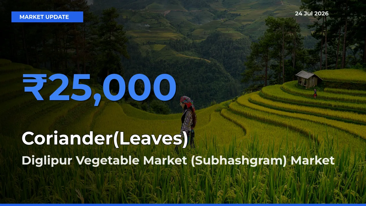 Diglipur Vegetable Market (Subhashgram) Tops Coriander(Leaves) Mandi Rates Today