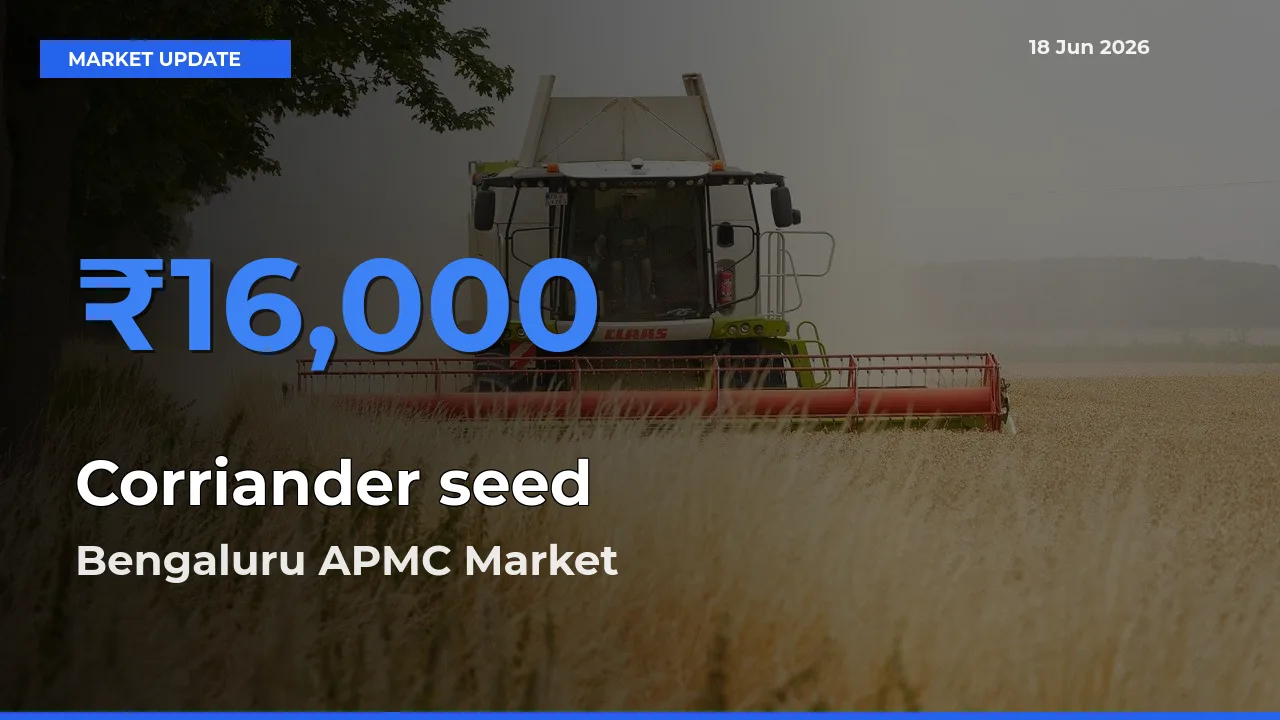 Bengaluru APMC Records Highest ₹16,000 Rate for Corriander seed