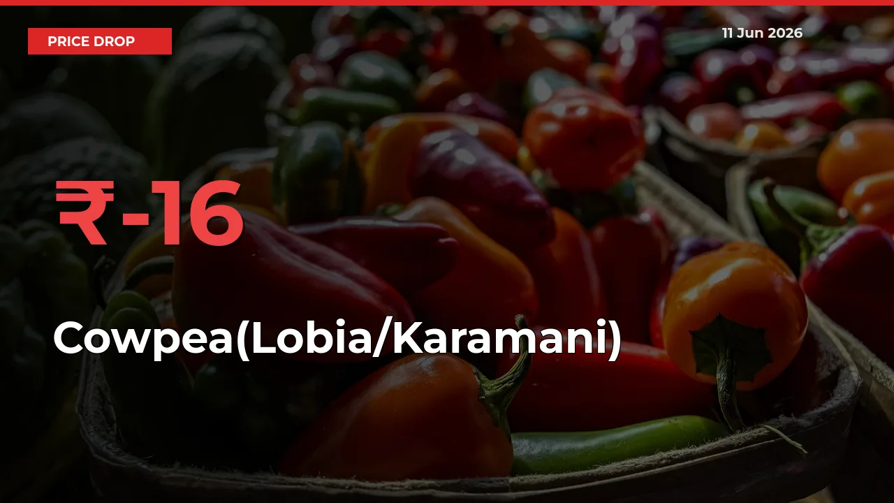 Cowpea(Lobia/Karamani) Mandi Rate Today: Prices Fall 15.92% at Market