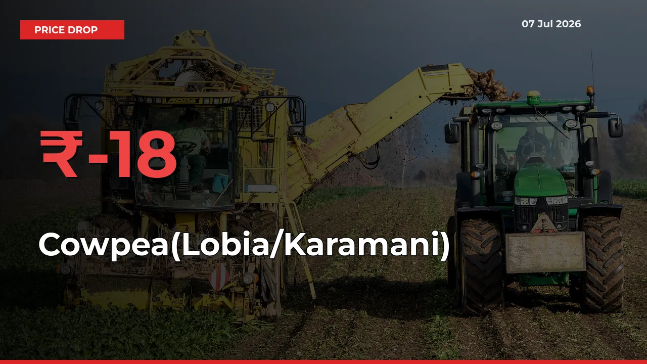 This Mandi Records 18.38% Fall in Cowpea(Lobia/Karamani) Prices