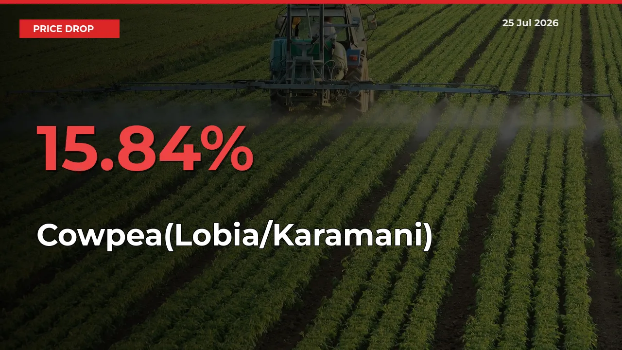 Cowpea(Lobia/Karamani) Prices Drop 15.84% – July 25 Market Update from Mandis