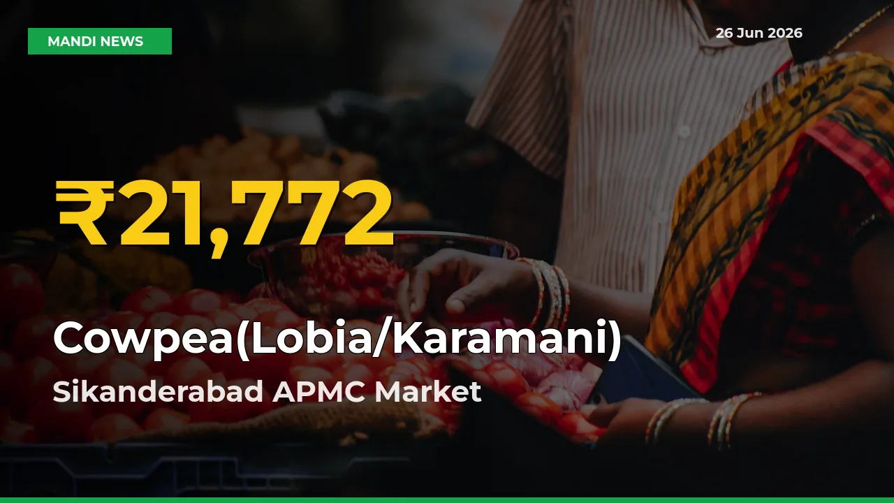 Cowpea(Lobia/Karamani) Price Rally Continues – Sikanderabad APMC Hits Fresh High Today