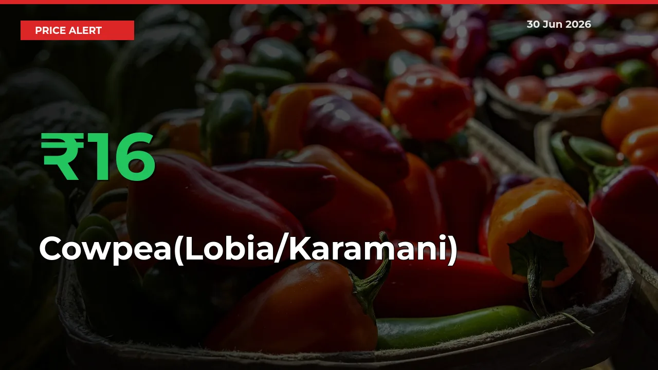 This Mandi Records 15.93% Jump in Cowpea(Lobia/Karamani) Prices