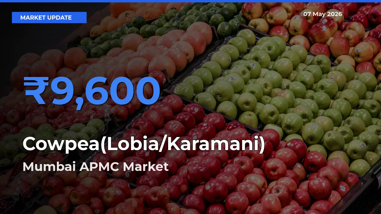 Mumbai APMC Leads as Top Mandi for Cowpea(Lobia/Karamani) Prices