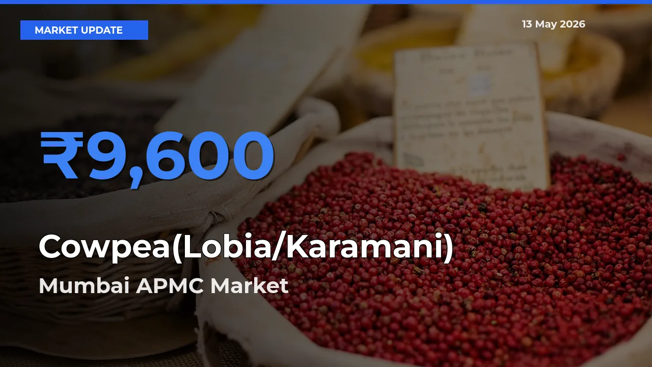 Mumbai APMC Tops Cowpea(Lobia/Karamani) Mandi Rates Today