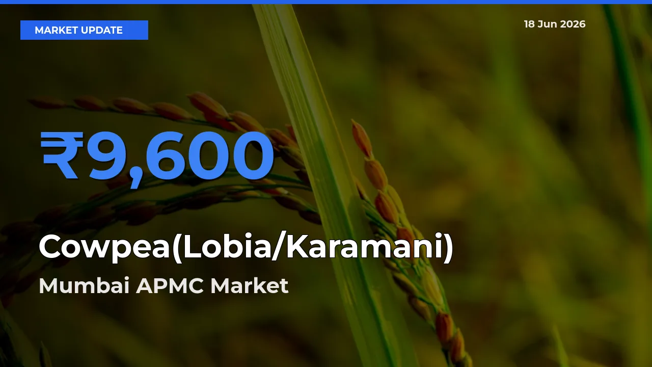 Mumbai APMC Tops Cowpea(Lobia/Karamani) Mandi Rates Today