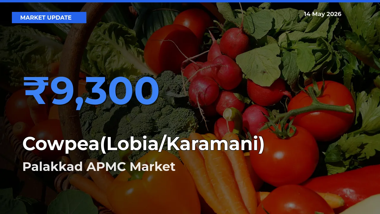 Cowpea(Lobia/Karamani) Mandi Rate Today: Palakkad APMC Tops the List