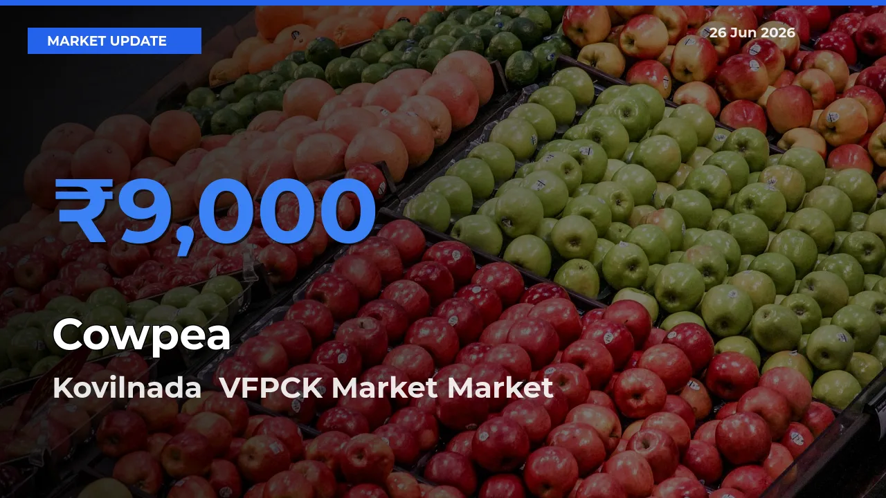 Cowpea Mandi Rate Today: Kovilnada  VFPCK Market Tops the List