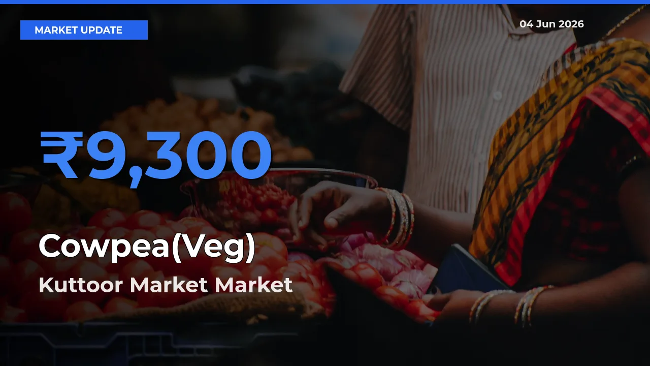 Cowpea(Veg) Mandi Rate Today: Kuttoor Market Tops the List