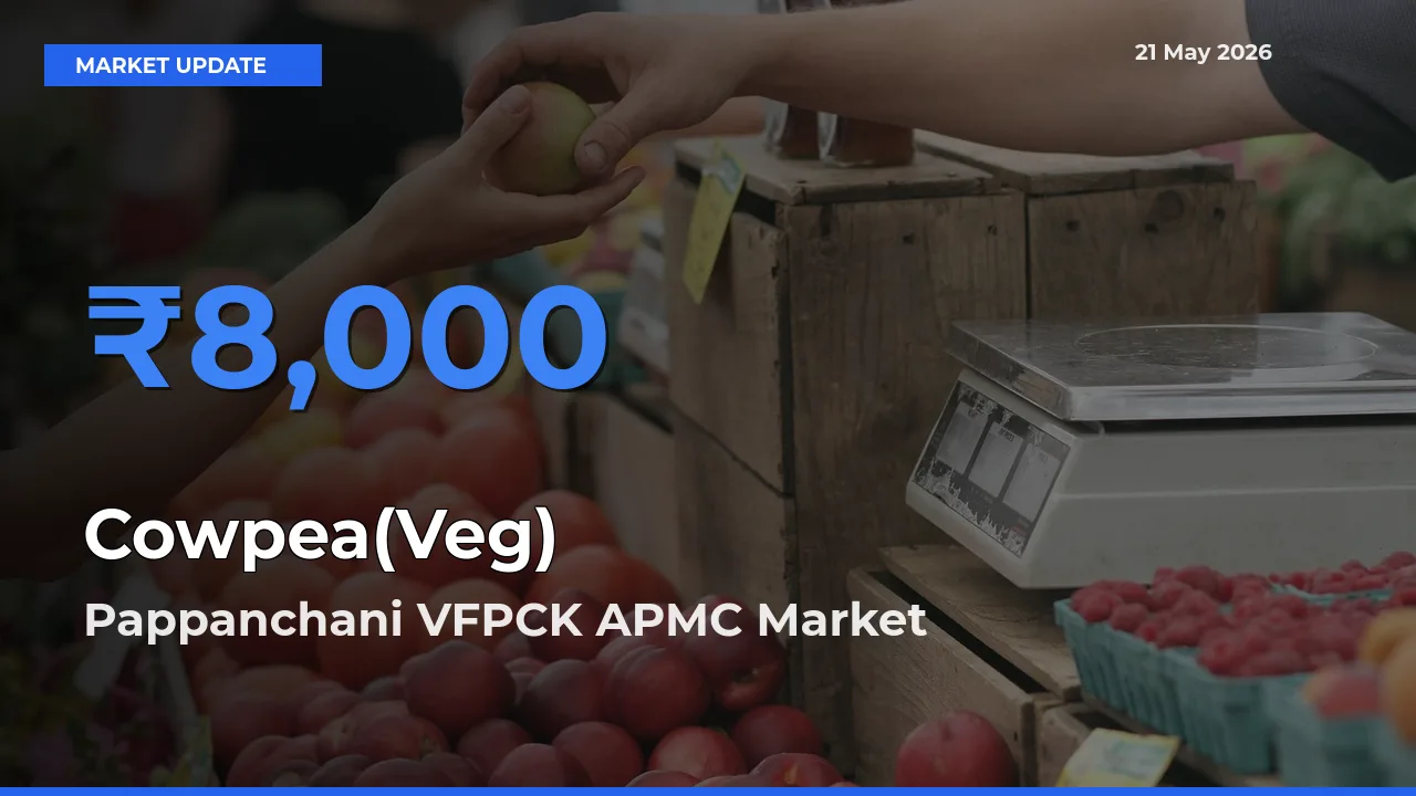 Pappanchani VFPCK APMC Tops Cowpea(Veg) Mandi Rates Today