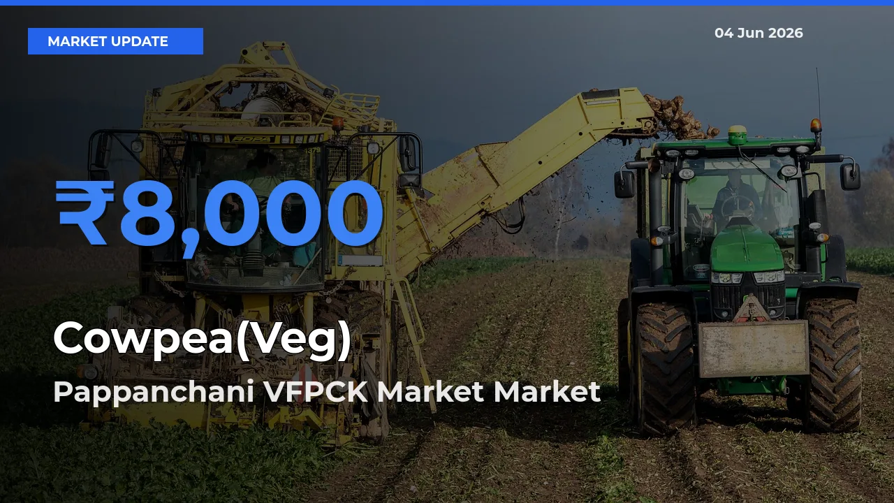 Market Watch: Pappanchani VFPCK Market Becomes Top Mandi for Cowpea(Veg)