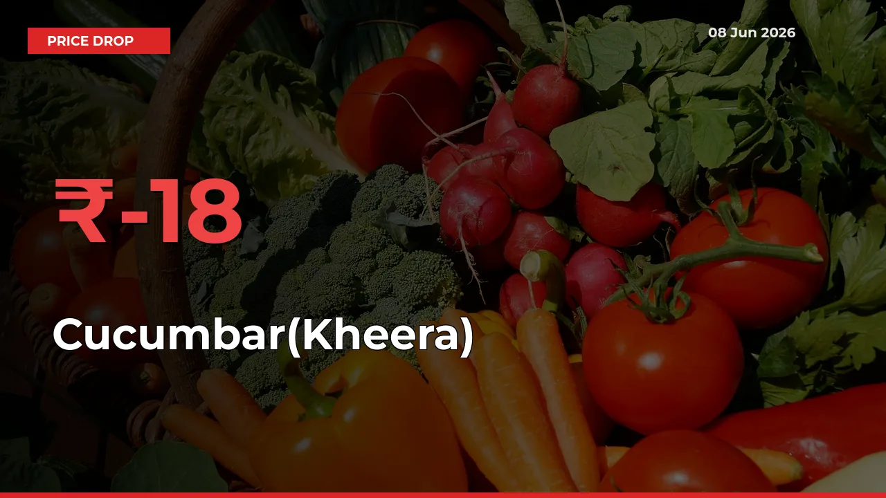 Sudden Shock! Cucumbar(Kheera) Drops 17.58% in 24 Hours at Top Mandis