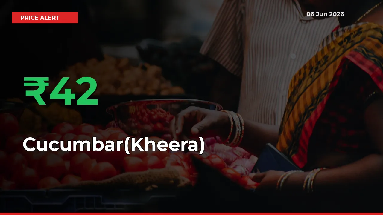 Sudden 41.98% Rally in Cucumbar(Kheera) Prices Across Mandis