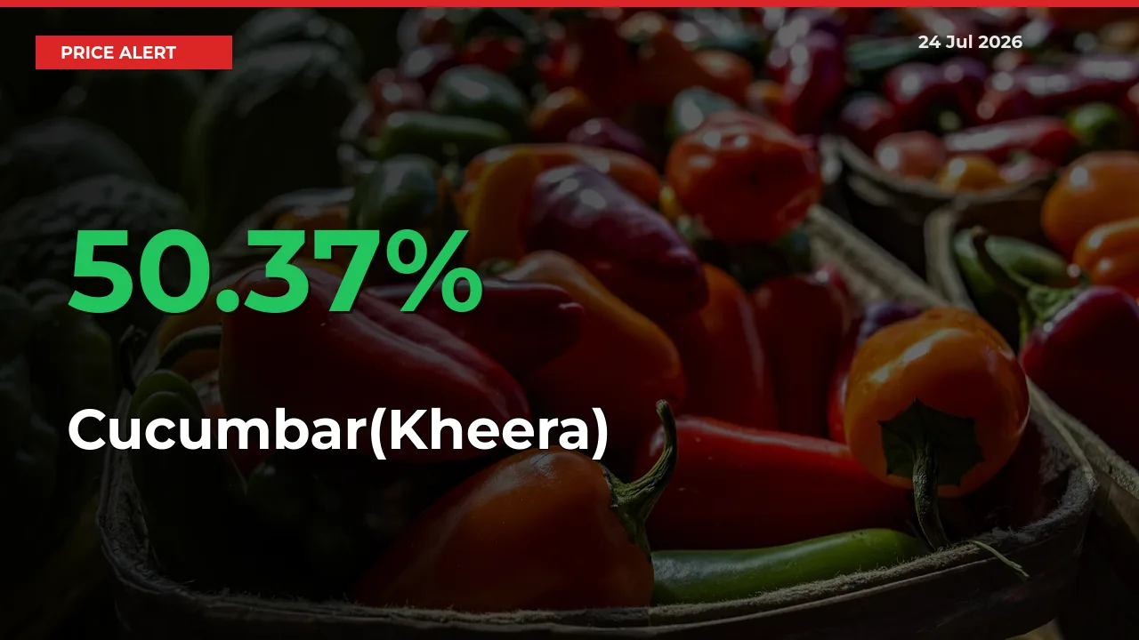 Farmers Cheer as Cucumbar(Kheera) Prices Surge 50.37% in Local Mandis