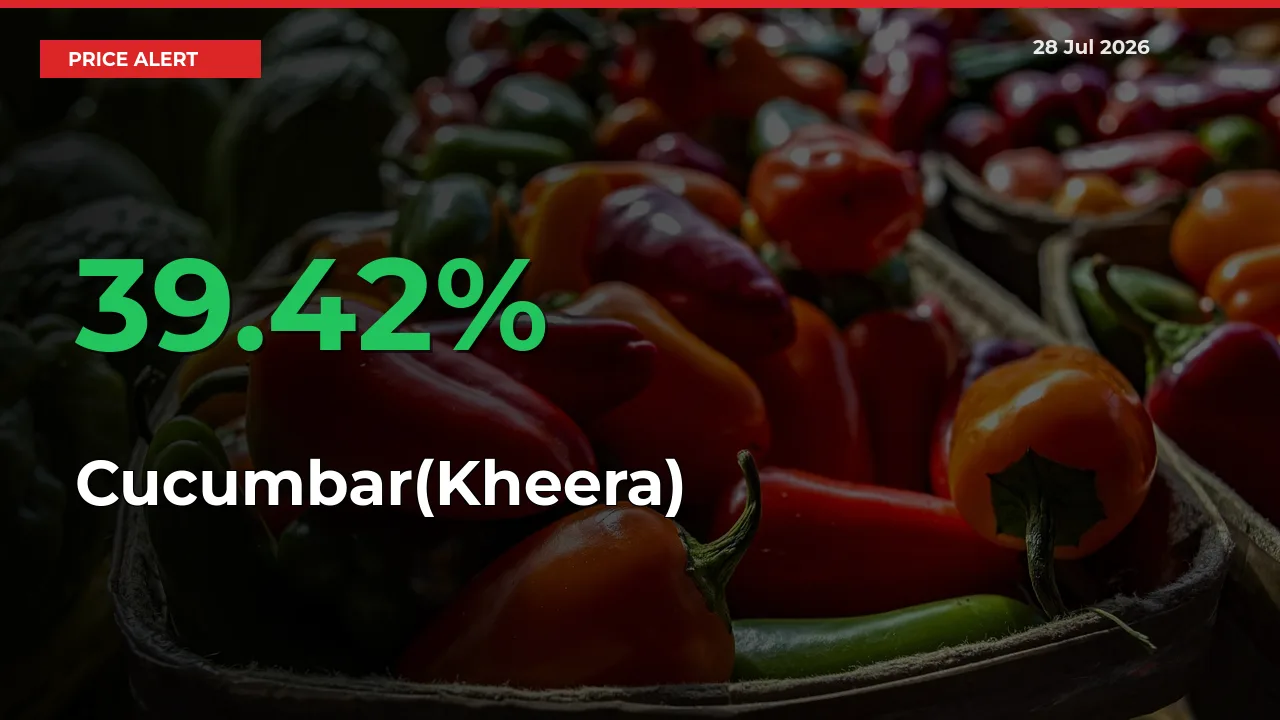 This Mandi Records 39.42% Jump in Cucumbar(Kheera) Prices