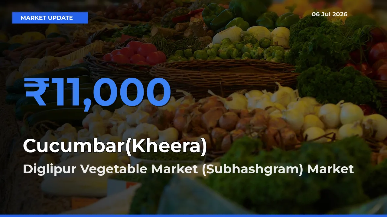 Diglipur Vegetable Market (Subhashgram) Records Highest ₹11,000 Rate for Cucumbar(Kheera)