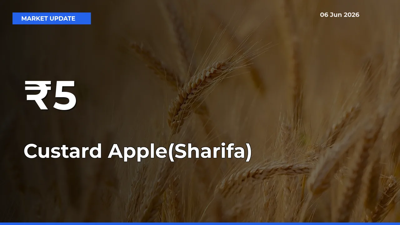 Why Custard Apple(Sharifa) Prices Are Moving Across Multiple Mandis Today