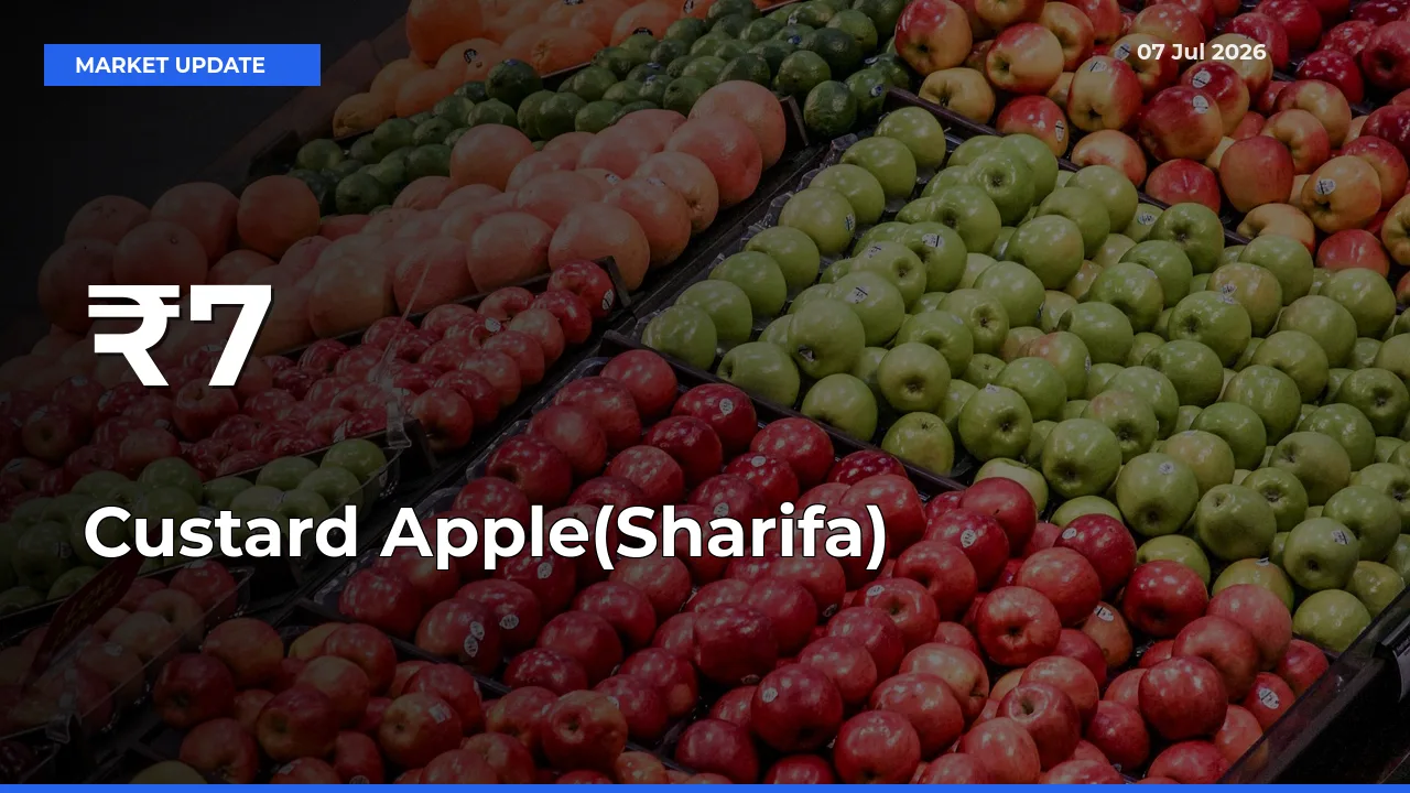 Custard Apple(Sharifa) Shows Strong Mandi Trend – July 07 Market Update
