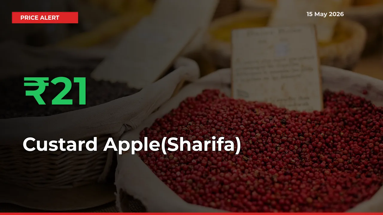 Custard Apple(Sharifa) Mandi Rate Today: Prices Jump 20.55% at Market