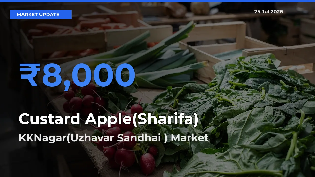 KKNagar(Uzhavar Sandhai ) Records Highest ₹8,000 Rate for Custard Apple(Sharifa)