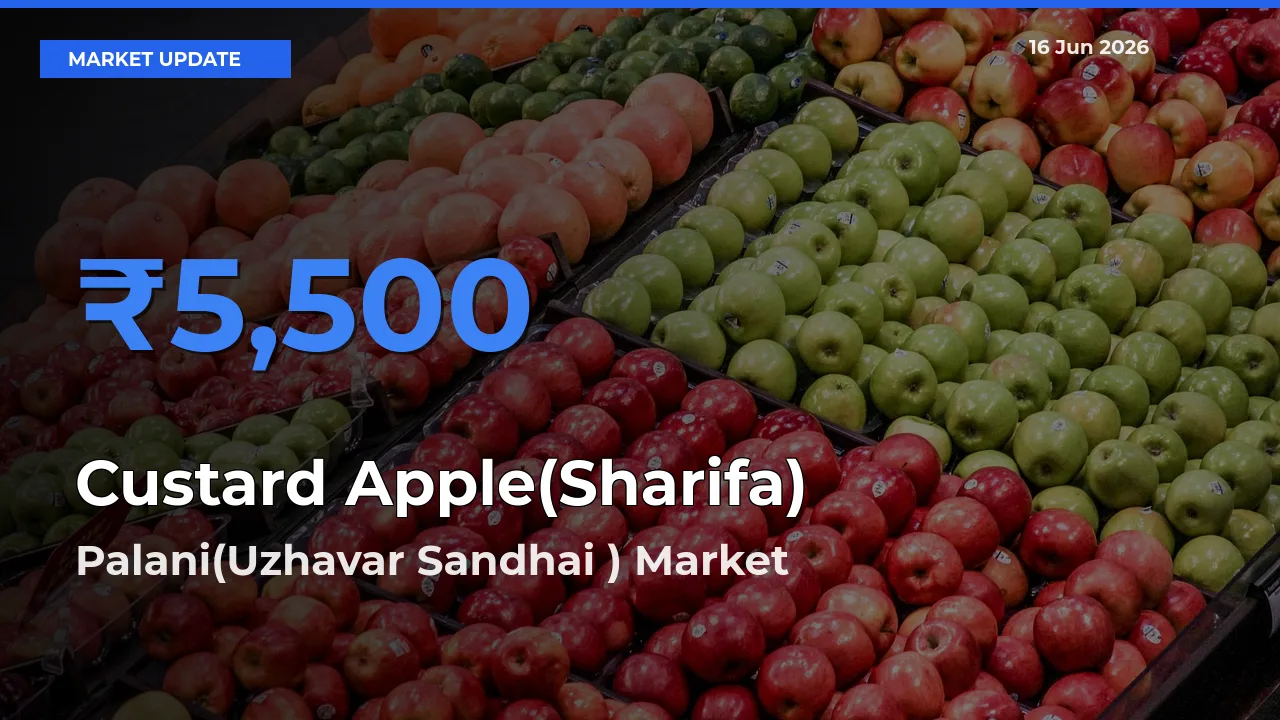 Palani(Uzhavar Sandhai ) Tops Custard Apple(Sharifa) Rates – June 16 Market Update