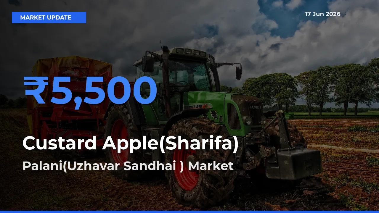 Palani(Uzhavar Sandhai ) Tops Custard Apple(Sharifa) Rates – June 17 Market Update