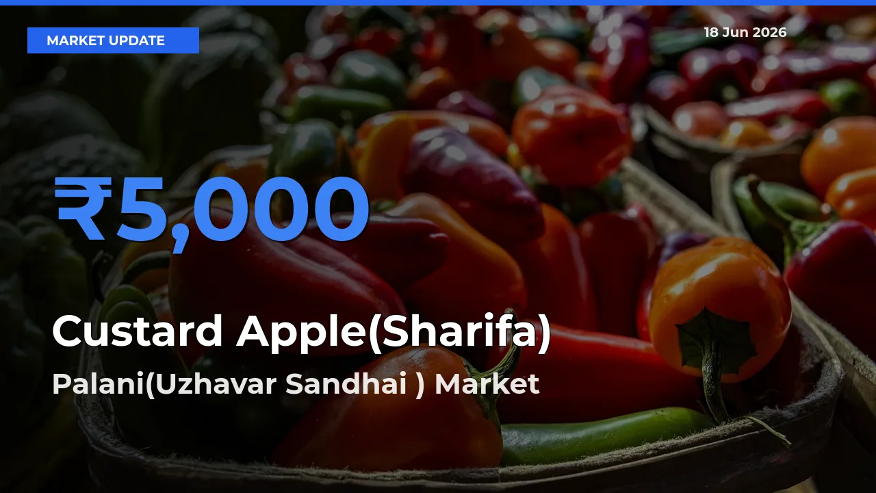 Palani(Uzhavar Sandhai ) Offers ₹5,000 – Highest Custard Apple(Sharifa) Rate Today