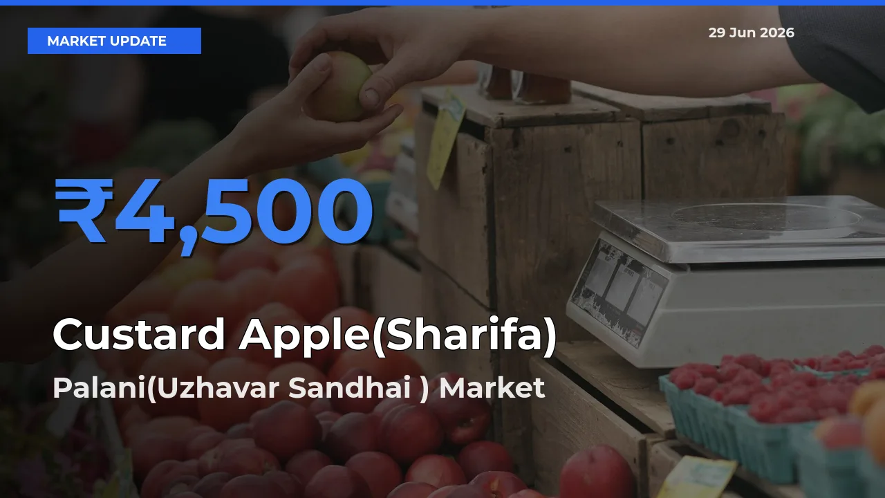 Palani(Uzhavar Sandhai ) Emerges as Top Mandi for Custard Apple(Sharifa) Prices Today