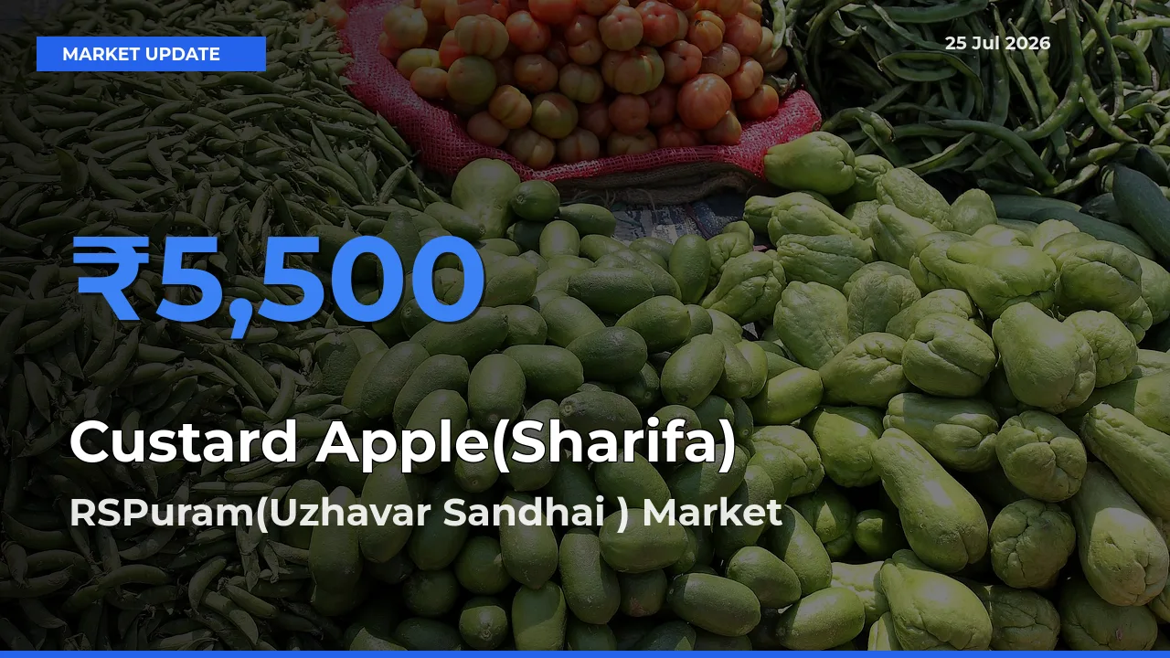 RSPuram(Uzhavar Sandhai ) Leads as Top Mandi for Custard Apple(Sharifa) Prices