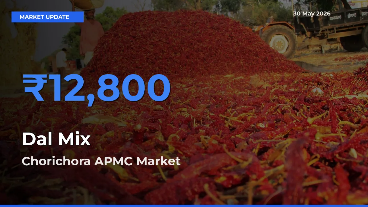 Chorichora APMC Leads as Top Mandi for Dal Mix Prices