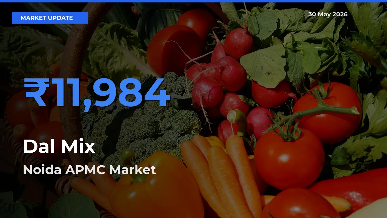 Market Watch: Noida APMC Becomes Top Mandi for Dal Mix