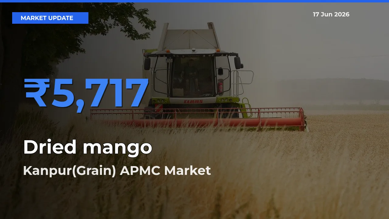 Market Watch: Kanpur(Grain) APMC Becomes Top Mandi for Dried mango