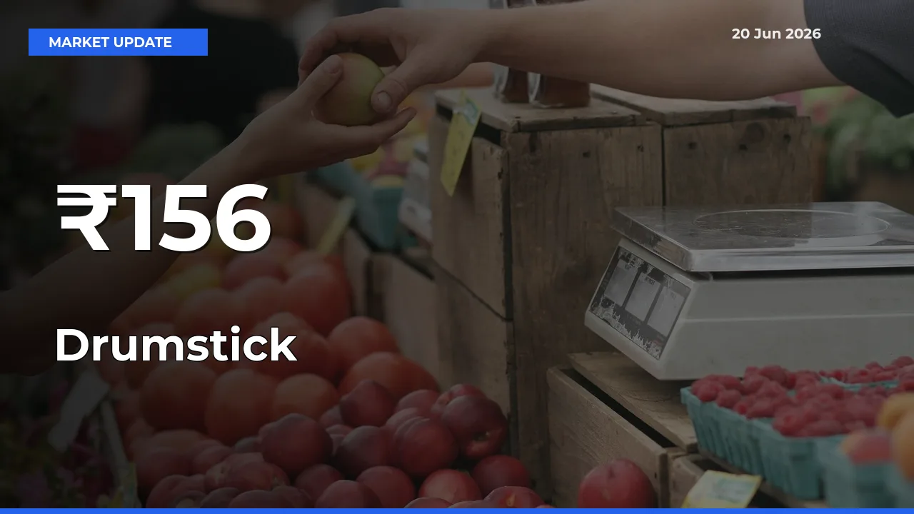 Drumstick Mandi Prices Move in Sync Across Major Markets Today