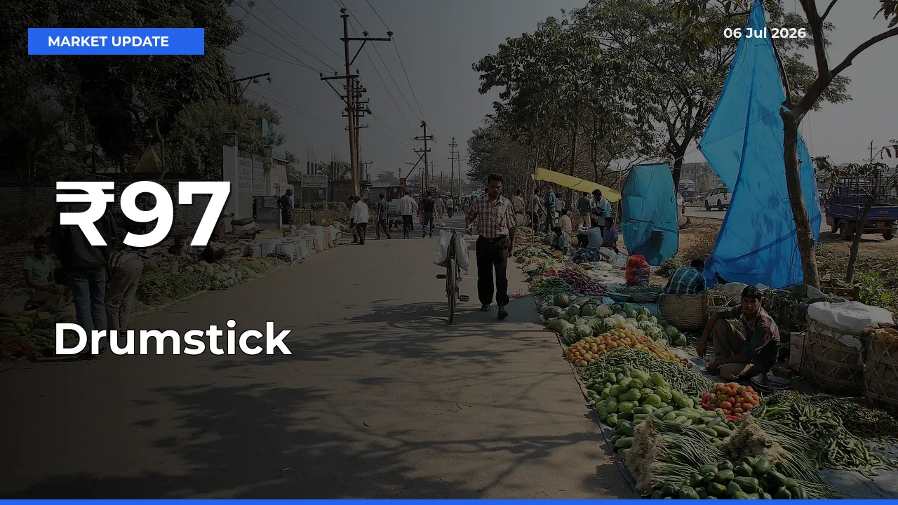 Drumstick Mandi Prices Move in Sync Across Major Markets Today