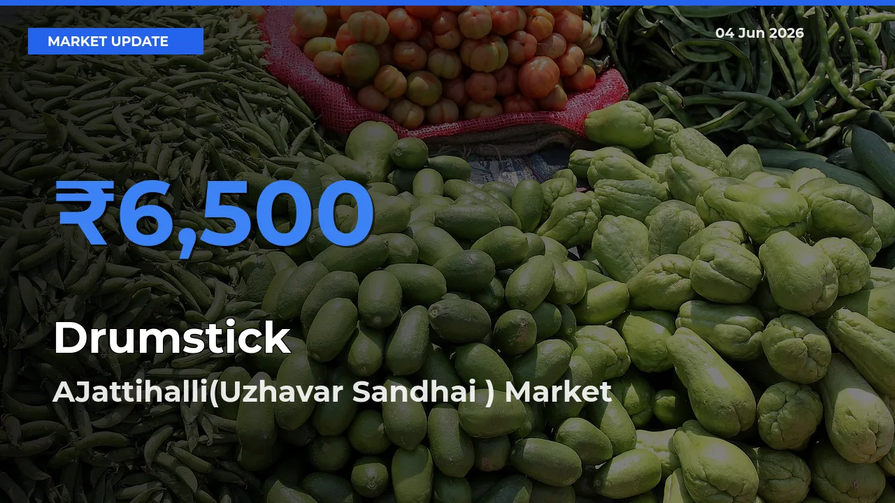 Market Watch: AJattihalli(Uzhavar Sandhai ) Becomes Top Mandi for Drumstick