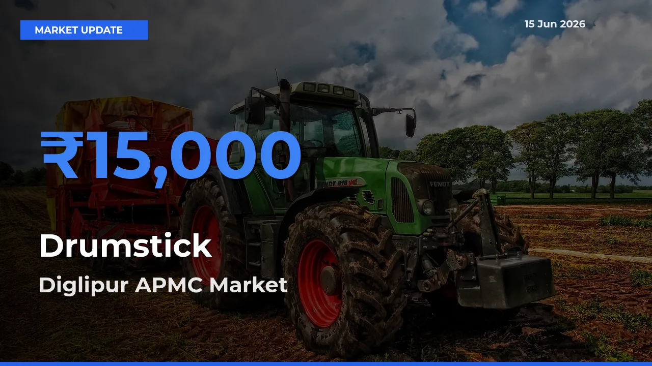 Market Watch: Diglipur APMC Becomes Top Mandi for Drumstick