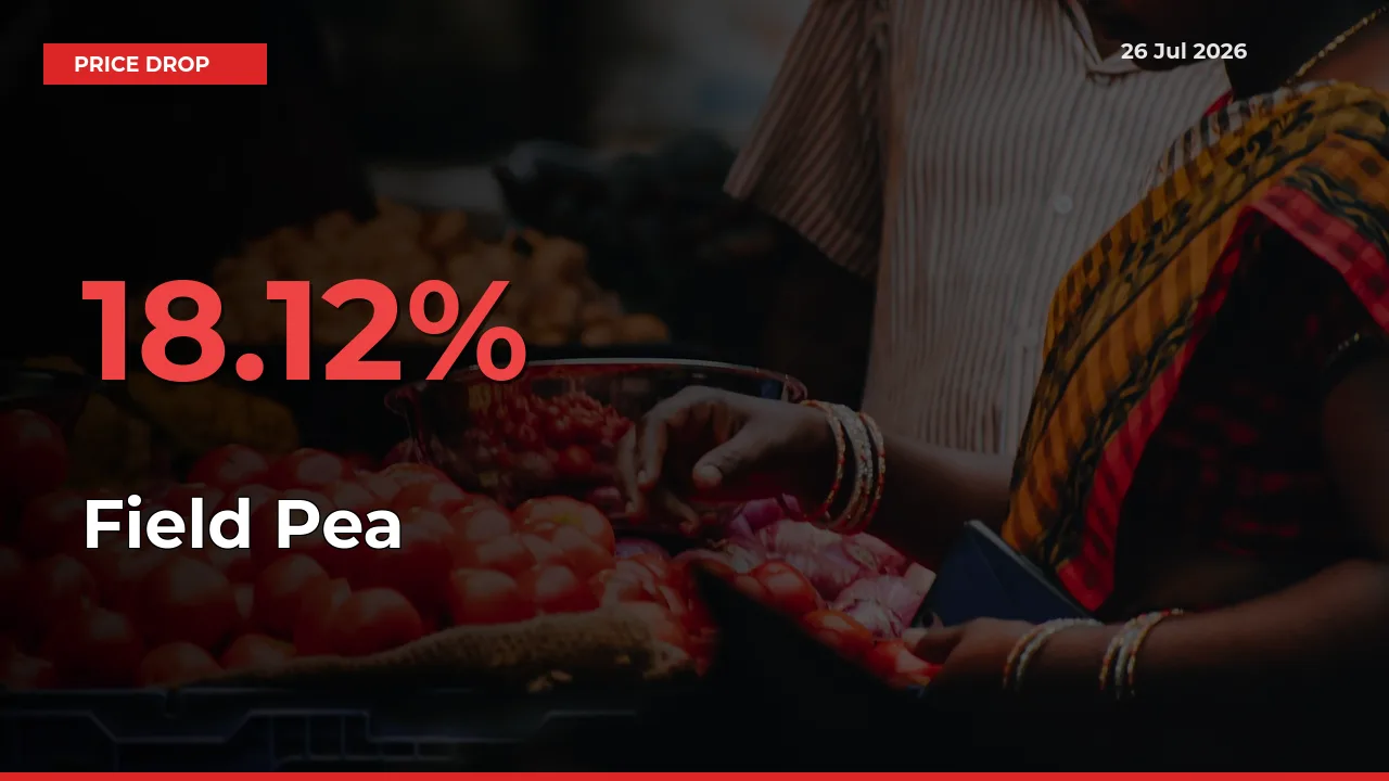 Sharp Fall! Field Pea Prices Plunge 18.12% in a Day at Key Mandis
