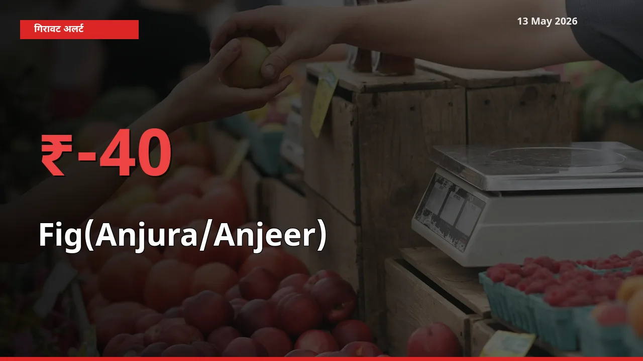 अंजीर के दाम प्रमुख मंडी में 40% गिरे, 24 घंटे में बड़ा बदलाव