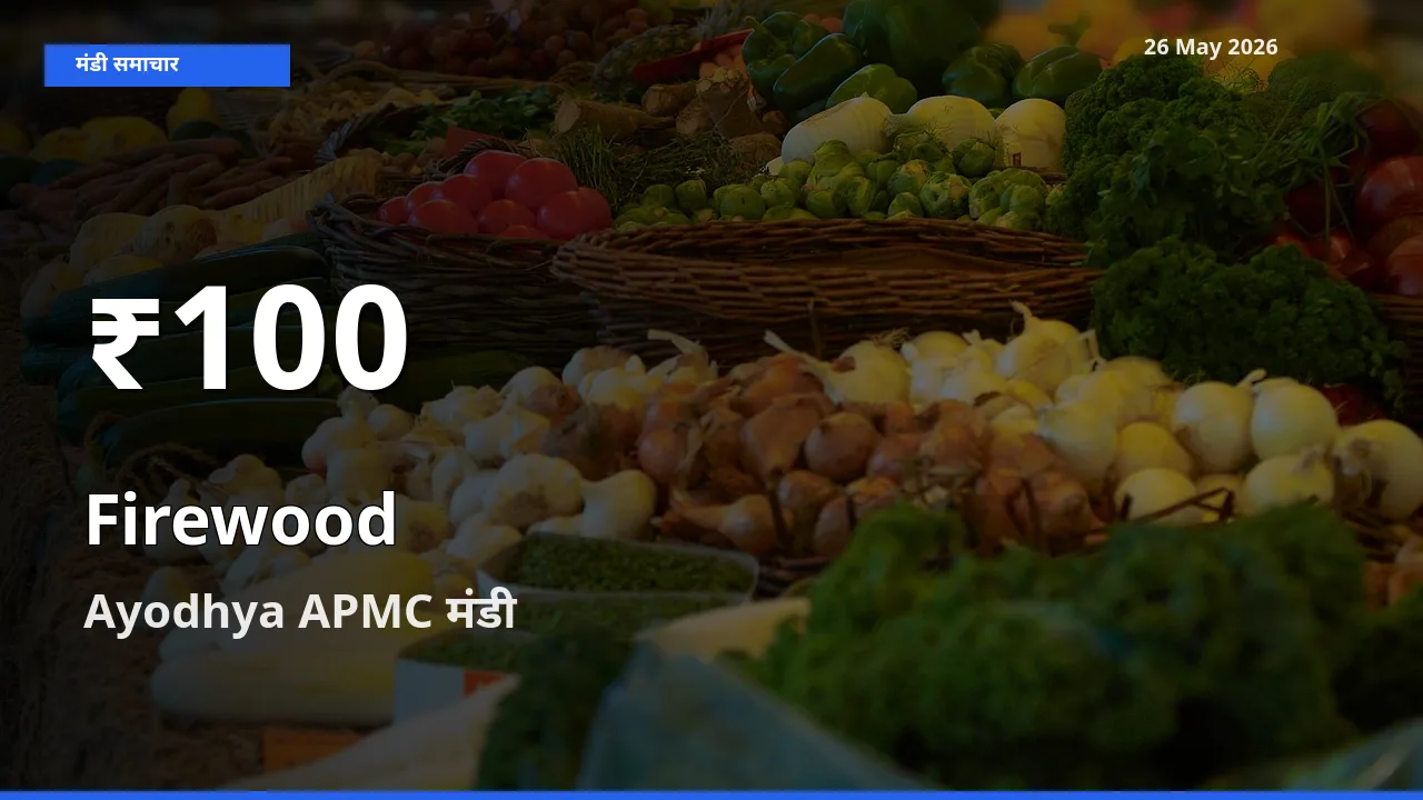 जलावन लकड़ी के दामों में गिरावट, Ayodhya APMC में 30 दिन का न्यूनतम भाव