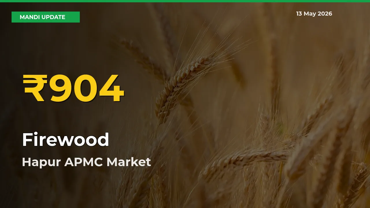 Firewood Prices Soar to Record High in Hapur APMC – Farmers Alert Today