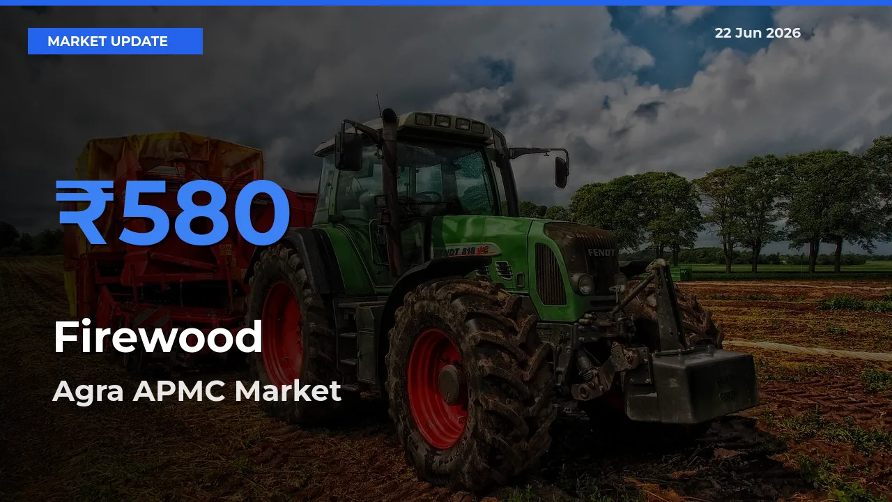 Agra APMC Tops Firewood Rates – June 22 Market Update