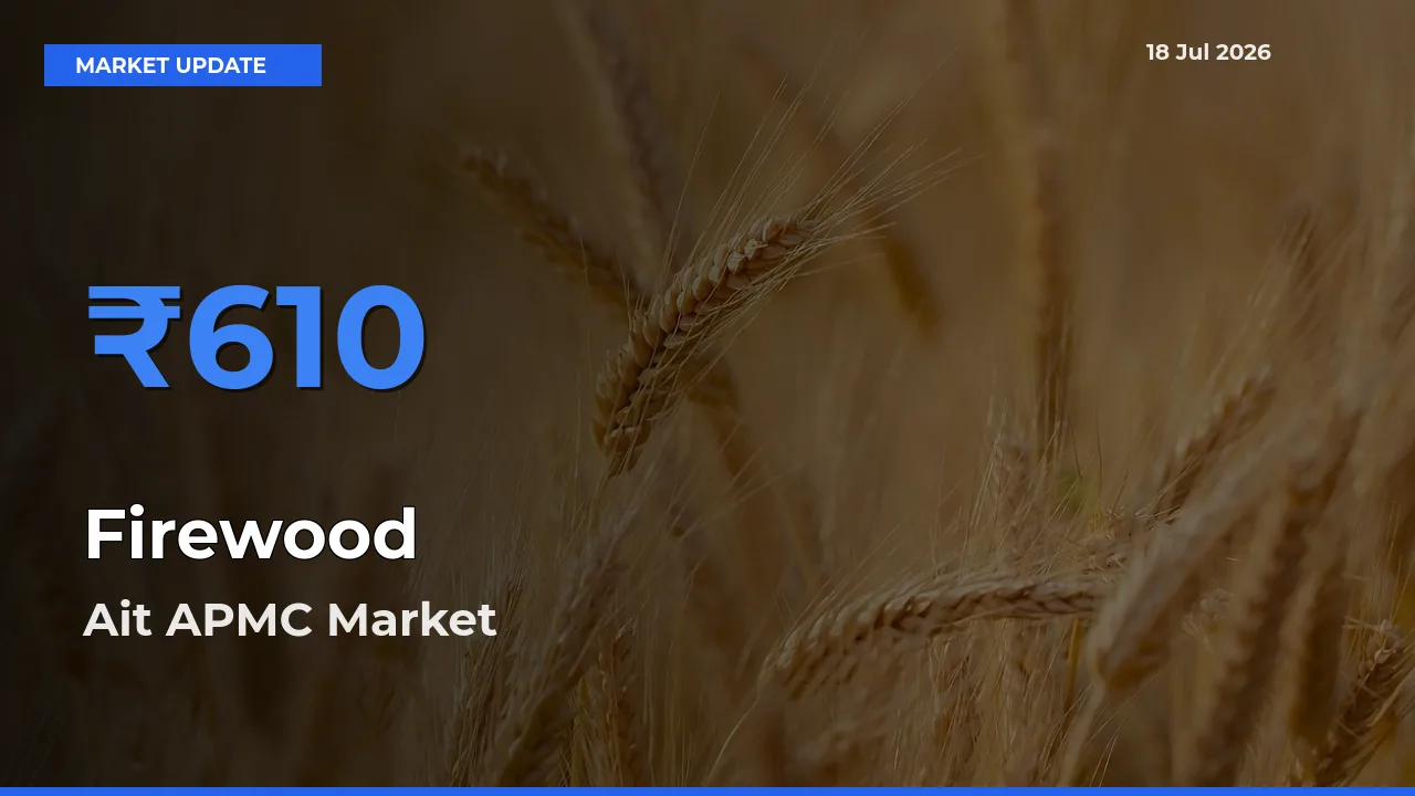 Ait APMC Tops Firewood Rates – July 18 Market Update