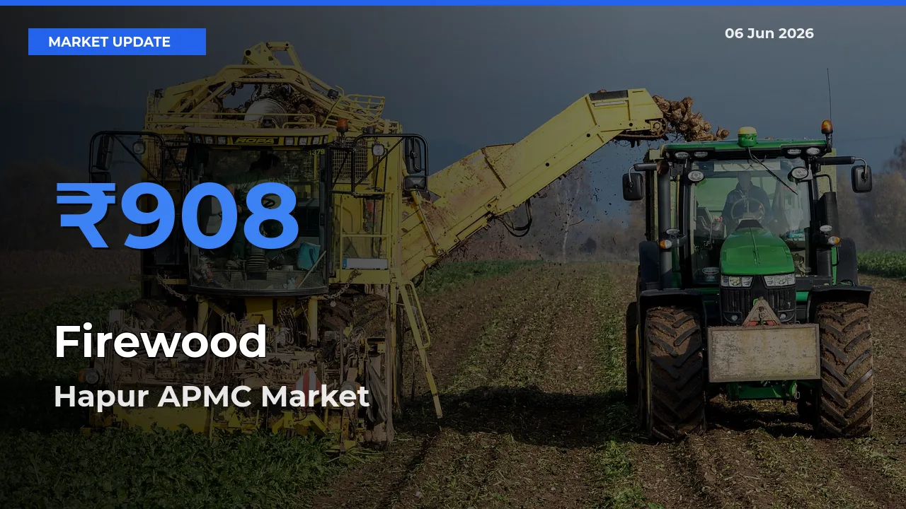 Hapur APMC Offers ₹908 – Highest Firewood Rate Today