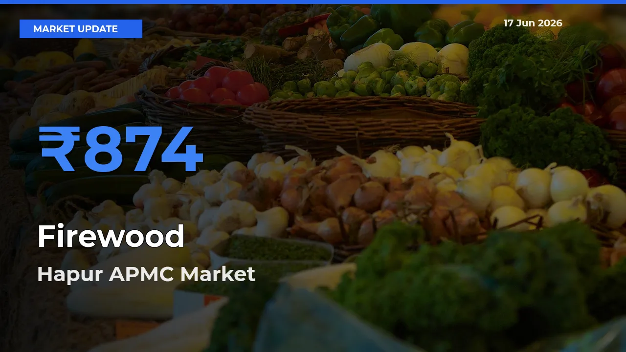 Hapur APMC Emerges as Top Mandi for Firewood Prices Today