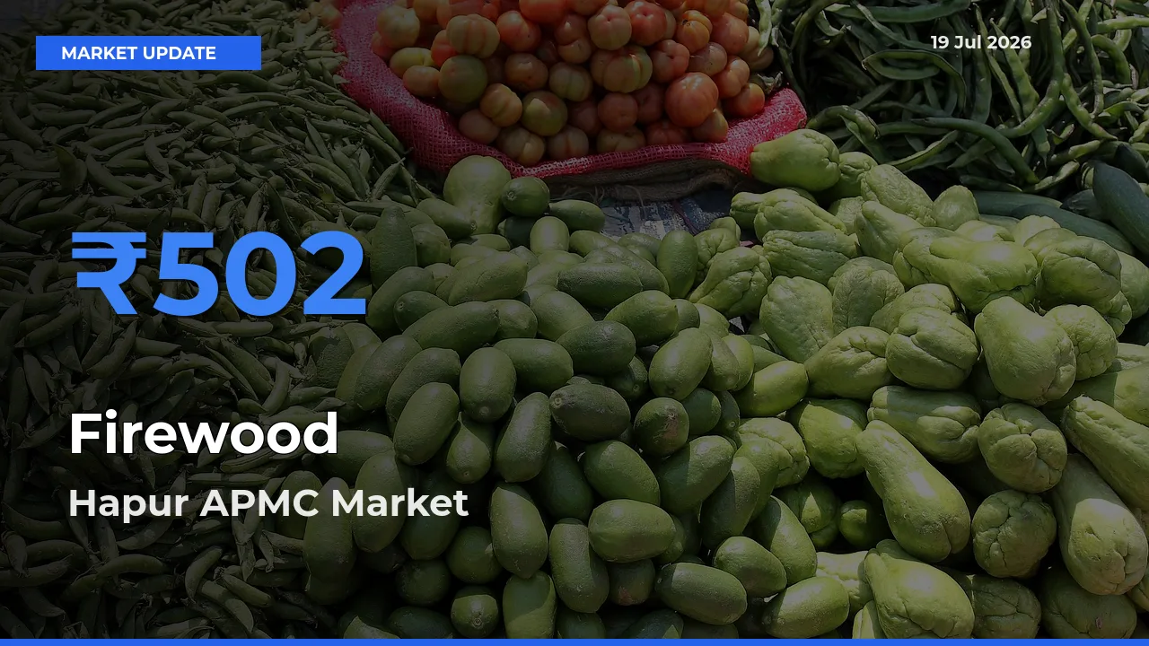 Hapur APMC Tops Firewood Mandi Rates Today