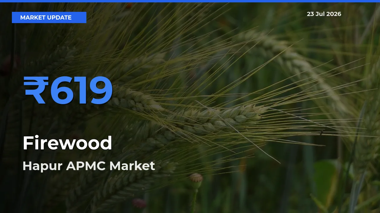 Hapur APMC Tops Firewood Rates – July 23 Market Update
