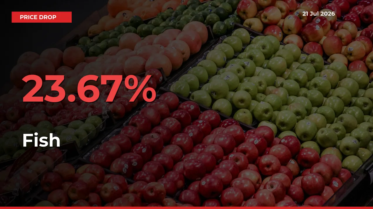 23.67% Drop in Fish Prices – Mandi Sees Sudden Fall