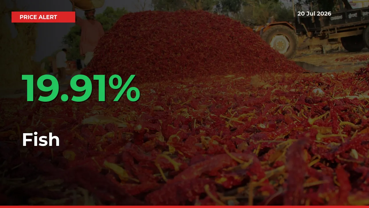 Farmers Cheer as Fish Prices Surge 19.91% in Local Mandis