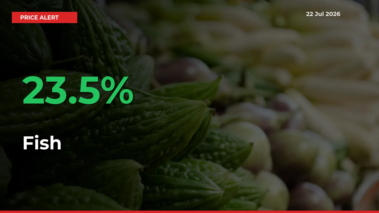 Fish Mandi Rate Today: Prices Jump 23.5% at Market