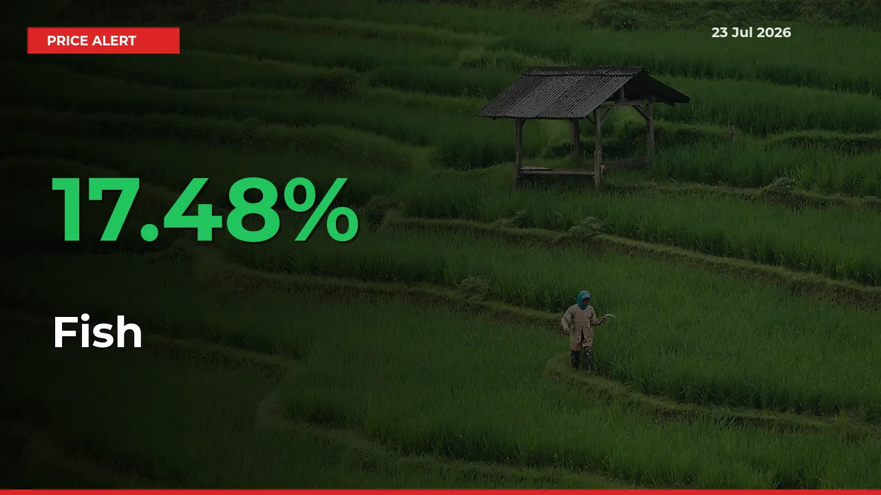 This Mandi Records 17.48% Jump in Fish Prices